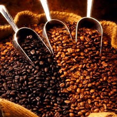 Sacked coffee beans ready for export